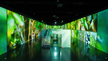 浪美术馆·成都