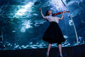 江和美海洋公园第 14 张图片