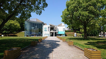 九十九岛水族馆第 5 张图片