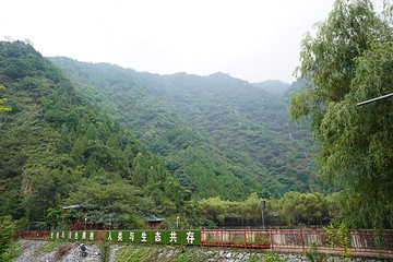 金龙峡第 52 张图片