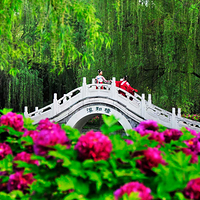 隋唐城遗址植物园
