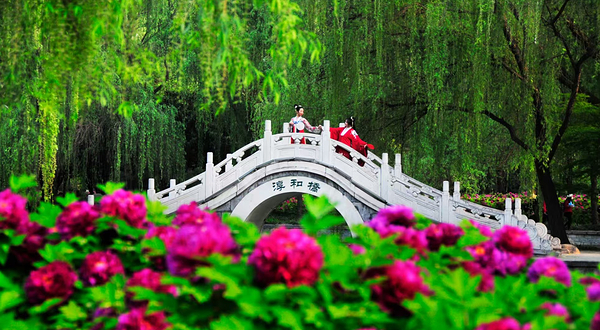 隋唐城遗址植物园