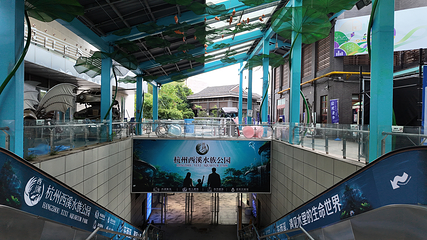 杭州西溪水族公园第 7 张图片