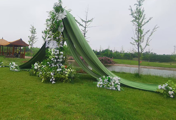 泰生小镇旅游景区第 95 张图片