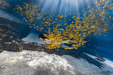 佳潜潜水水下摄影俱乐部第 4 张图片
