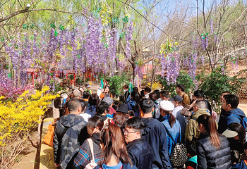 宇文山庄第 25 张图片