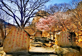桃源仙谷自然风景区第 42 张图片