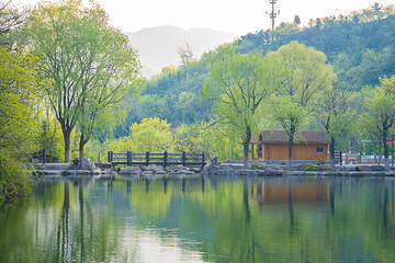 九如山休闲旅游度假区第 169 张图片
