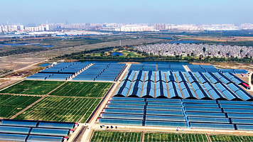 华录金谷青少年社会实践基地