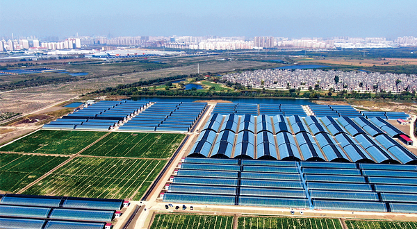 华录金谷青少年社会实践基地