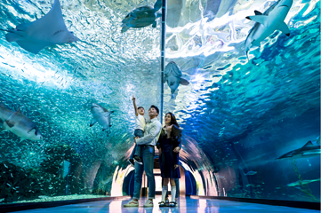 济州岛Aqua Planet水族馆第 10 张图片