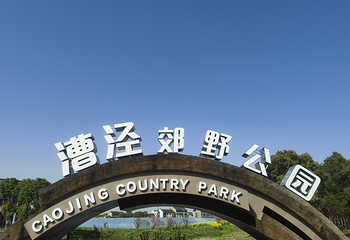上海漕泾郊野公园水窠景区第 9 张图片