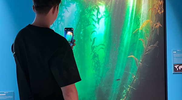 BBC EARTH 极地生灵数字影像大展