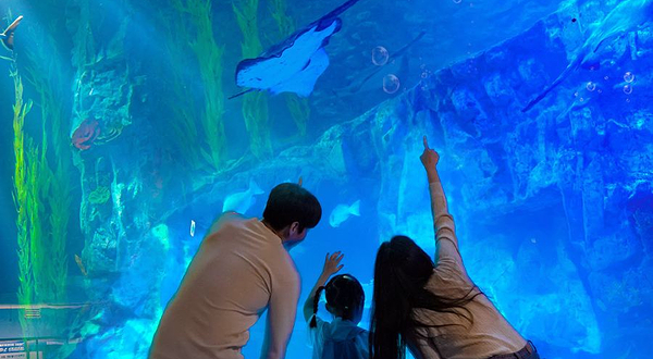 乐天水族馆