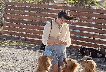 垦丁灰太狼生态教育园区第 12 张图片