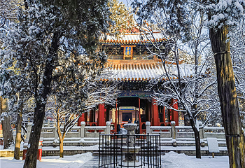 曲阜三孔景区第 71 张图片