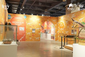 恐龙来了(禄丰龙全国巡展·重庆站)第 2 张图片