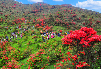 新兴天露山旅游度假区第 42 张图片