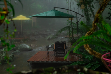 海南百花岭热带雨林文化旅游区第 88 张图片
