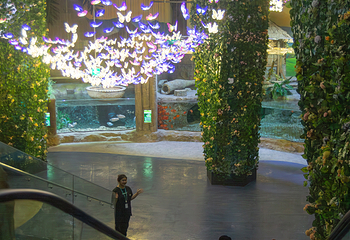 河内乐天世界水族馆第 21 张图片