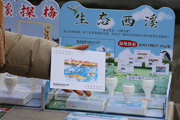 西溪国家湿地公园第 164 张图片