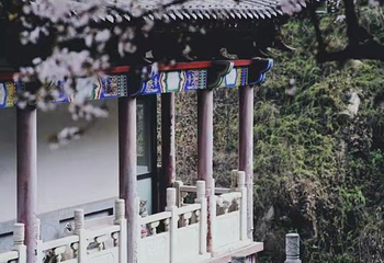 青华山卧佛寺景区第 20 张图片