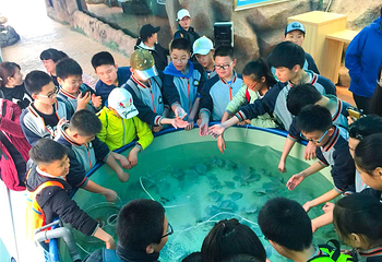 爱伦湾海洋牧场第 38 张图片