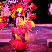 TaoTao Tasi 海滩表演秀