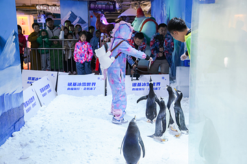 郑州银基冰雪世界第 57 张图片