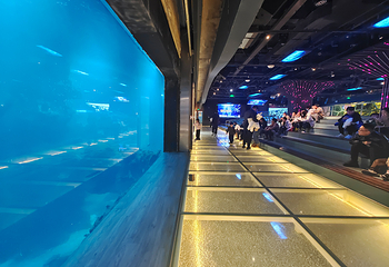 石家庄海洋公园(海悦天地购物广场店)第 5 张图片