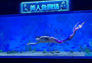 比奇堡冰雪海洋馆(二七广场馆)第 19 张图片