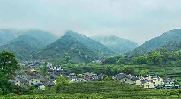 梅朱茶韵茶文化体验馆