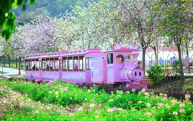 蓝田紫林旅游度假区第 15 张图片