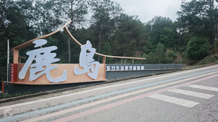 鹿岛旅游景区第 2 张图片