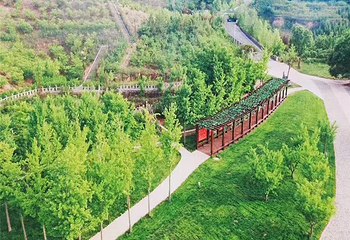 永和黄河乾坤湾景区第 14 张图片
