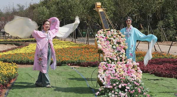 野趣大自然农业