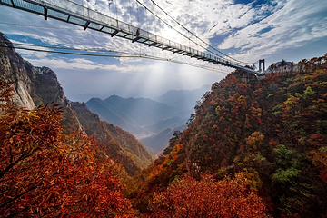 洛阳白云山风景区第 49 张图片