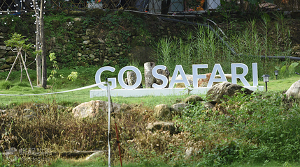 增城泉溪山GoSafari帐篷露营地第 2 张图片