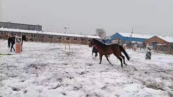伯驭体育马术俱乐部