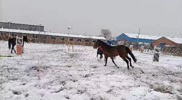 伯驭体育马术俱乐部