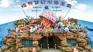 探奇梦幻水母王国