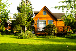 地球村·蓝莓谷