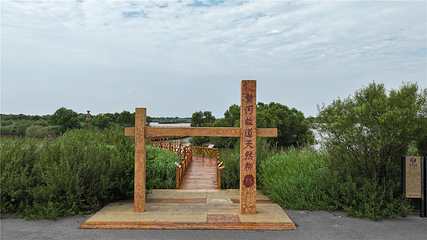 黄河入海口第 26 张图片