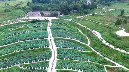 红盘花乡第 1 张图片