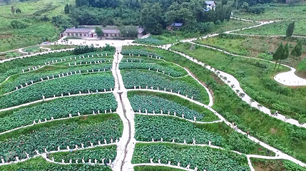 红盘花乡第 3 张图片