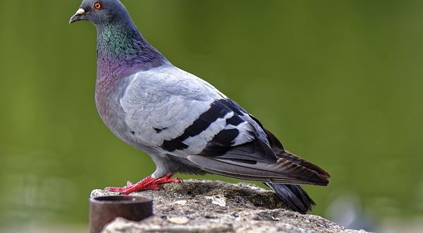 七彩生态亲子园