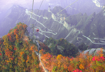 天门山国家森林公园第 248 张图片