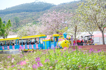 蓝田紫林旅游度假区第 14 张图片