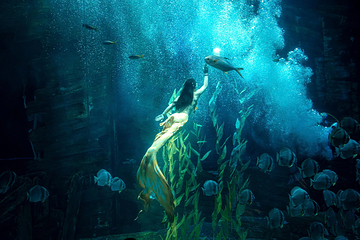 河内乐天世界水族馆第 1 张图片