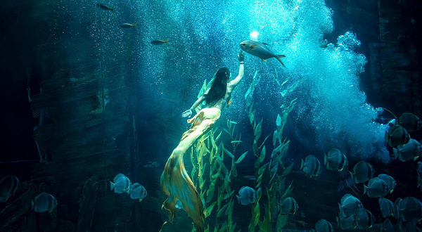 河内乐天世界水族馆